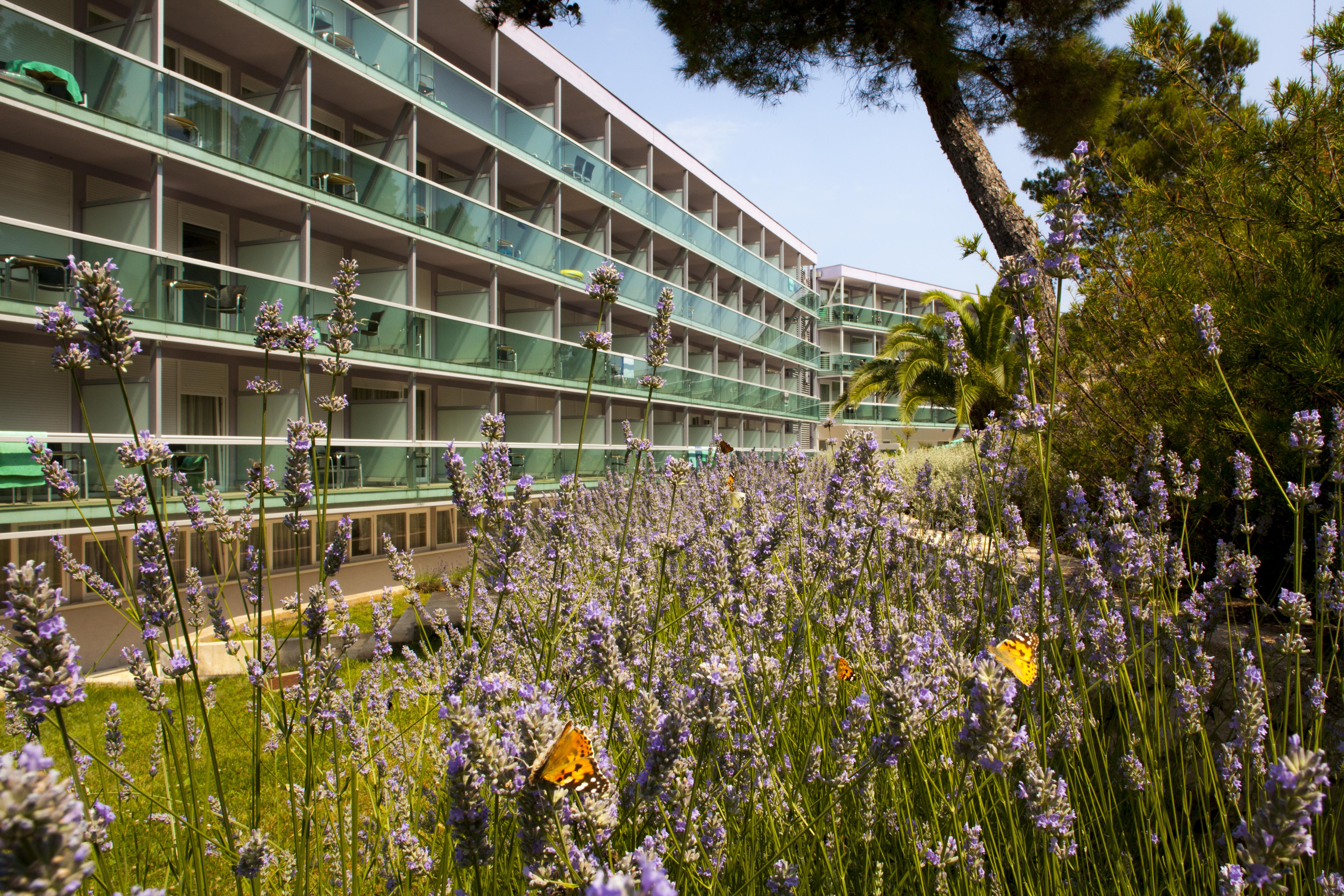 Hotel Aurora Mali Losinj Exterior photo